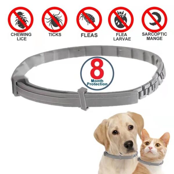 Dog Anti Flea And Tick Collars,Pet 8Month Protection Adjustable Collar For Large Dog Puppy Cat, Dogs Accessories - Image 2